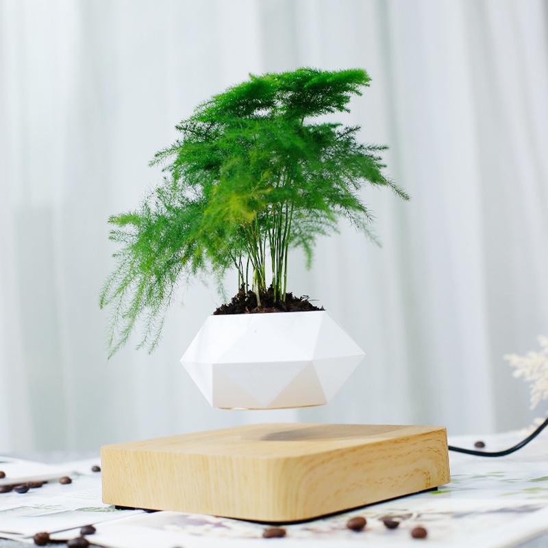 Levitating Air Bonsai Pot Rotation Flower Pot Planters Magnetic Suspension Floating Pot Potted Plant Home Desk Decor