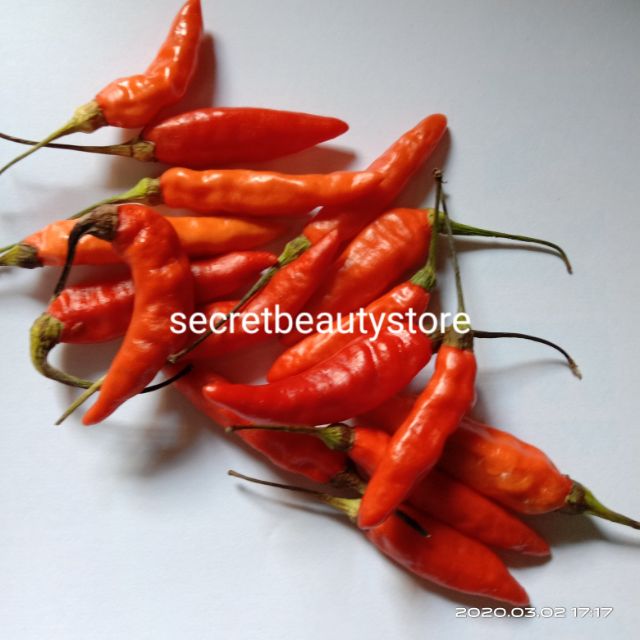 20 Biji Chili Kampung Seed Spicy Benih Cili Cabai Lada Kampung Pedas