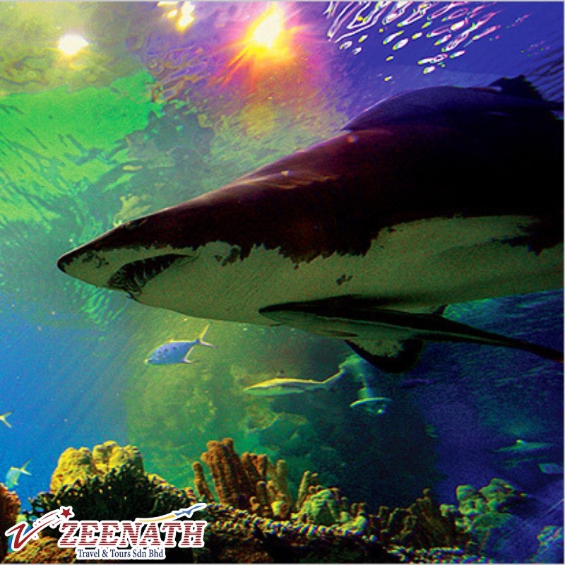 Aquaria KLCC Entrance Ticket Shopee Malaysia