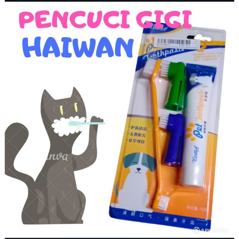 Berus Gigi Kucing Shopee Malaysia