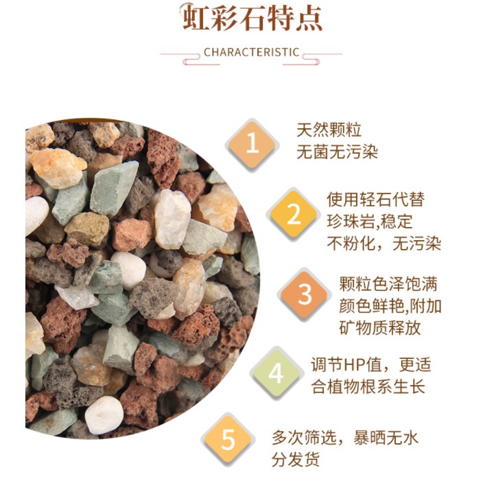 Pebbles Mix Colour Stones 多肉专用全颗粒土虹彩石 1kg Shopee Malaysia