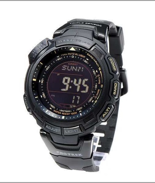 casio prg 110y