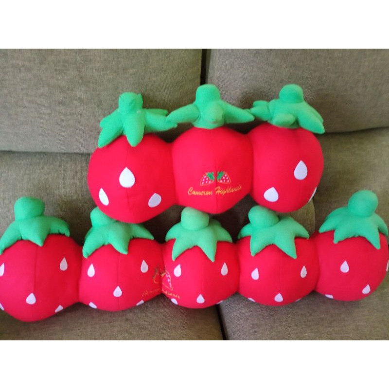 Buy Bantal Red Strawberry Cameron Highlands Seetracker Malaysia