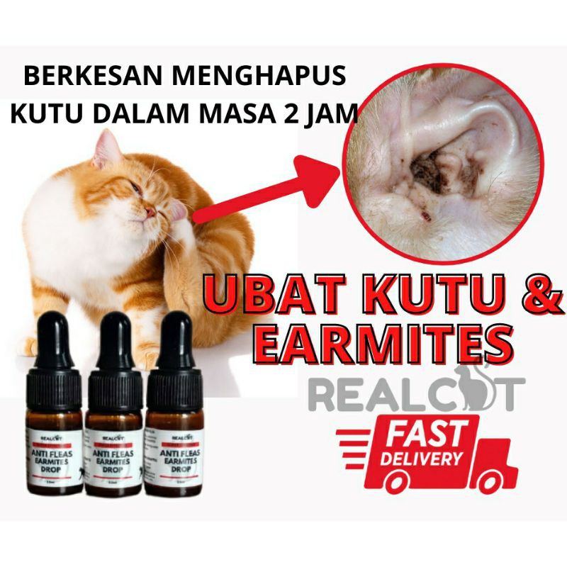 🔥Ear mites Anti Fleas Kutu badan , Telur Kutu Kucing Anjing Pet 