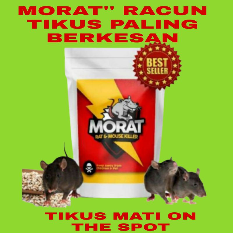 Rat Poison Morat Ubat Berkesan Masalah Tikus Pest Control Rat Rat Bait Rodentbait Ubat Tikus Umpan Tikus