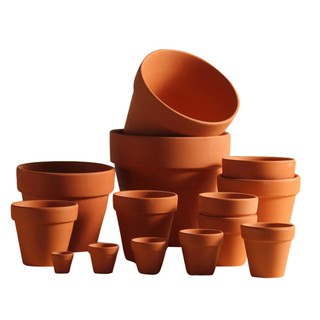 XL TERRACOTTA COTTA CLAY CACTUS SUCCULENT PLANT FLOWER POT  