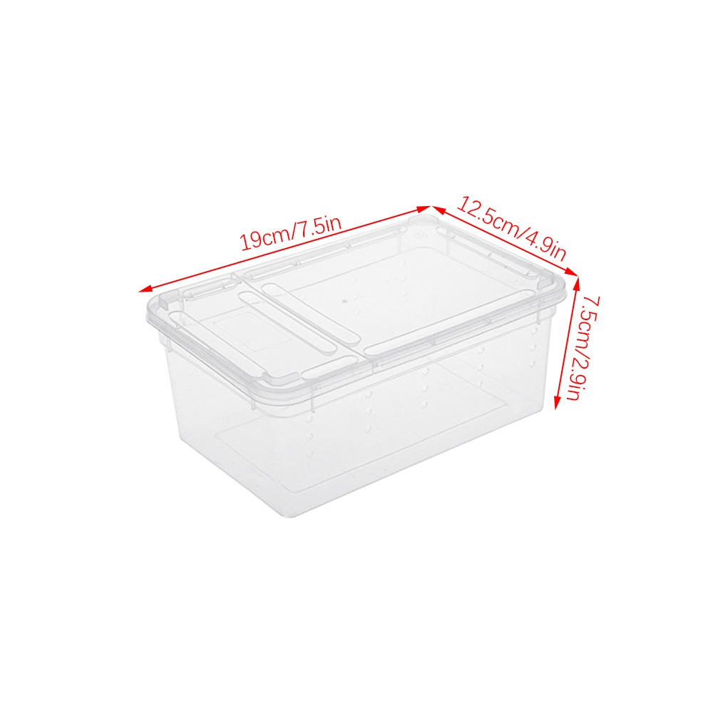 portable lizard cage