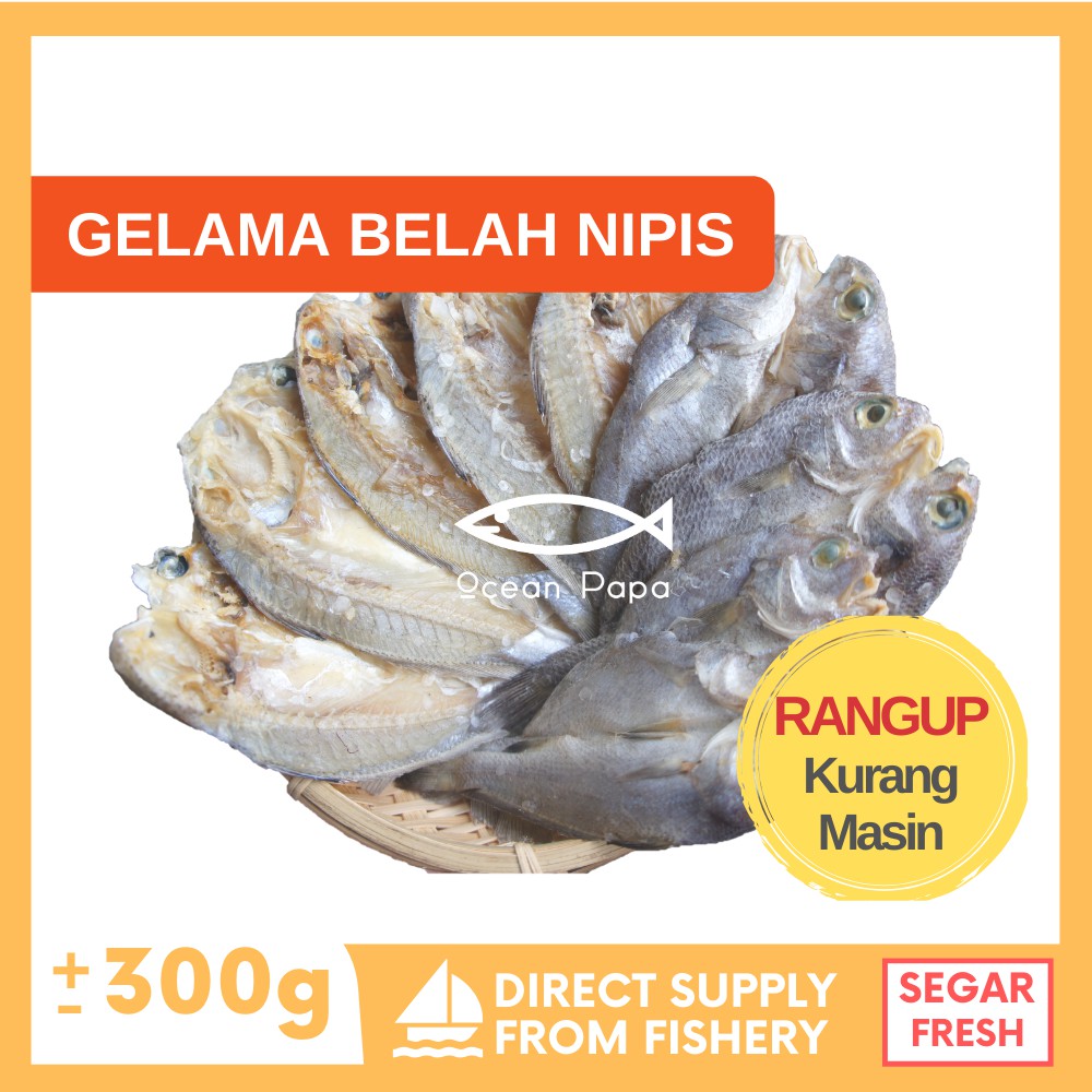 Ikan Masin Gelama Belah Nipis Gred A - Ocean Papa (300g ...