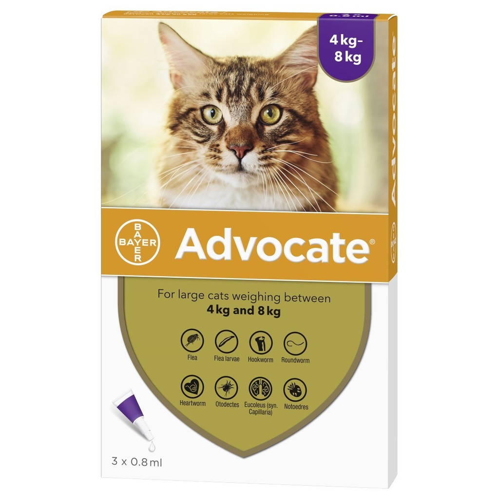 Advocate Spot On Solution for Large Cats > 4kg 3 x 0.8ml treatment for