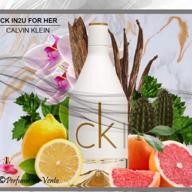 ORIGINAL Calvin Klein CK In2u Women EDT 100ML Perfume | Shopee Malaysia