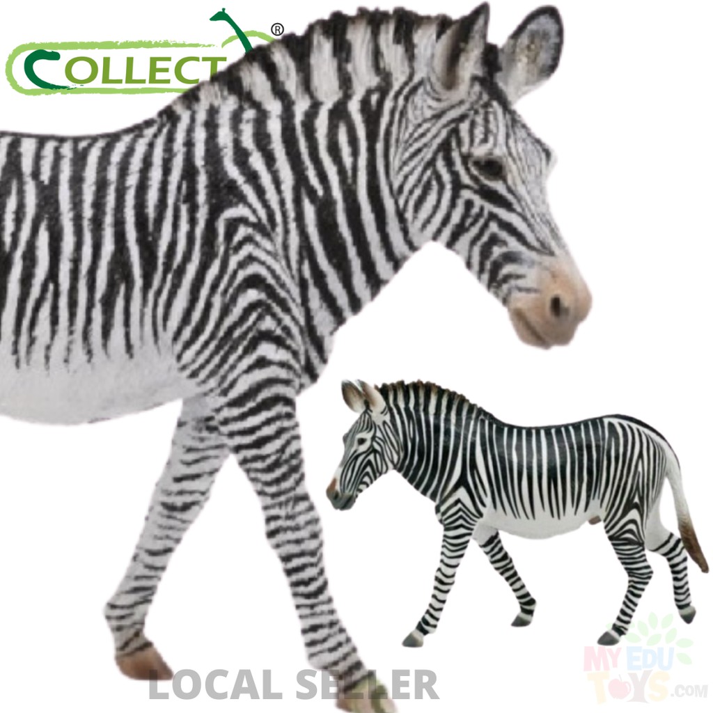 Grevy's Zebra Collecta 88773 Wild Life Animal Action Figures / Toy