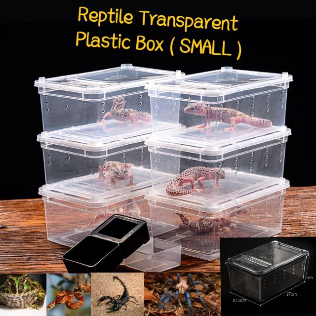Reptile Cage Breeding Box FOR Insect Lizard Snake Amphibian Frog Turtle 