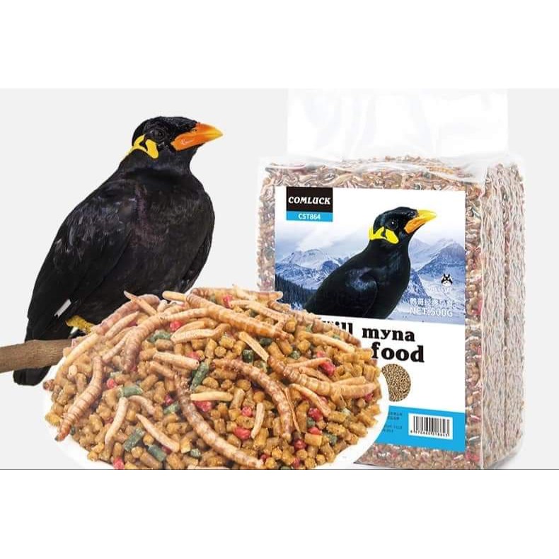 makanan burung tiong
