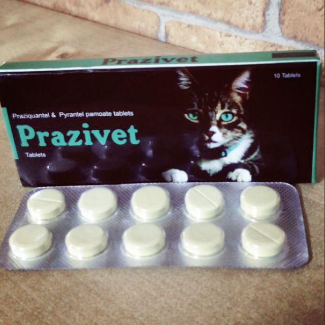 Prazivet ubat cacing kucing New packaging  Shopee Malaysia
