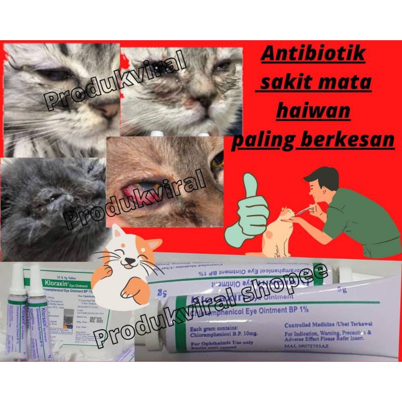 Buy ubat untuk sakit mata kucing / anjing  SeeTracker Malaysia