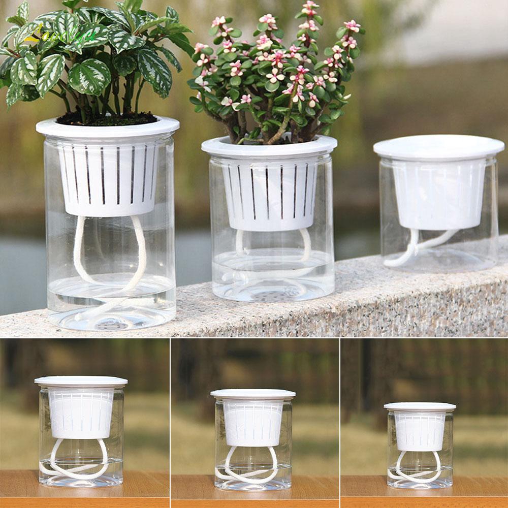 Plant Pot Tabletop Display Automatic absorption Self watering Garden ...