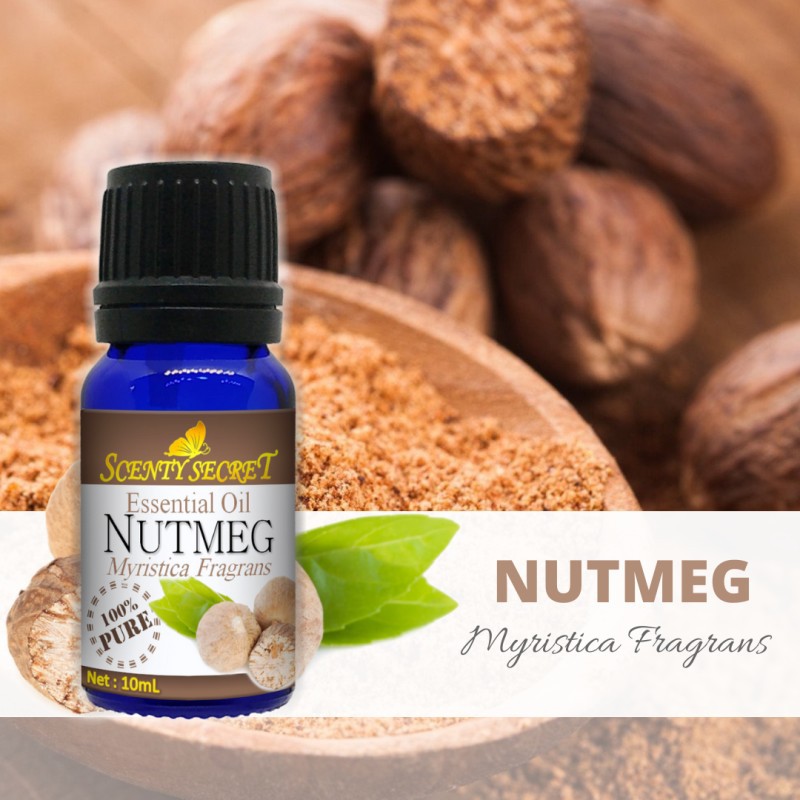 Nutmeg Essential Oil 100 Pure Scenty Secret Aromatherapy Shopee