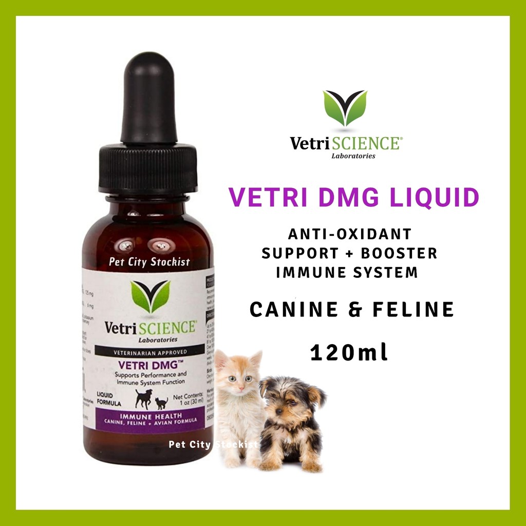 Vetri DMG Liquid ( 10ml repack / 30ml repack / 120ml ) Immune Support