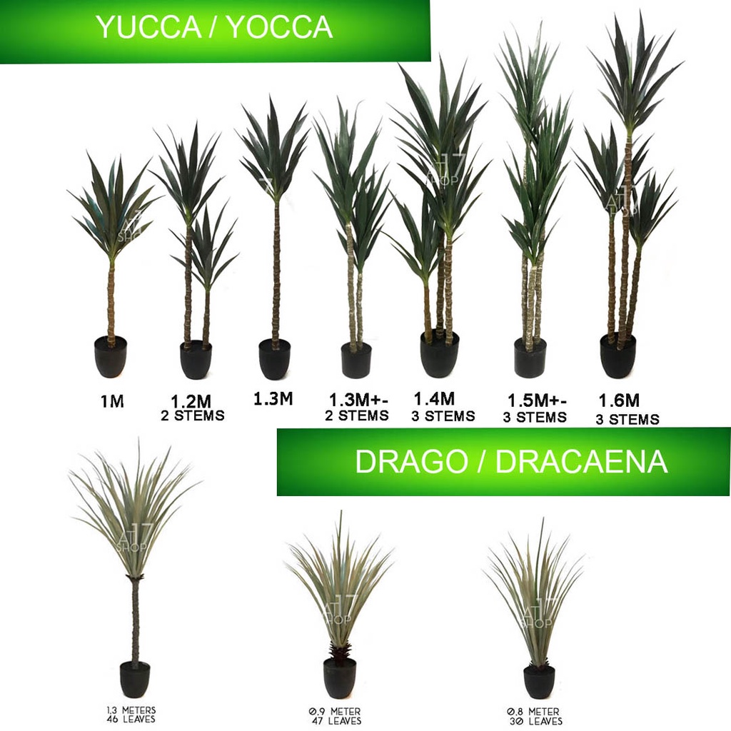 Yucca PREMIUM & Dracaena PREMIUM Artificial Plant Pokok Viral ...