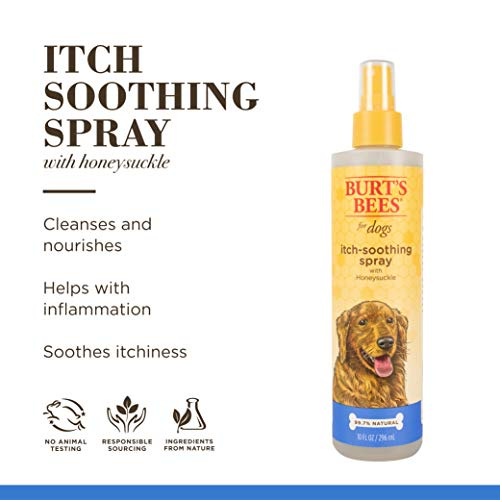 Burt's Bees Itch Soothing Spray for Dogs with Honeysuckle 296ml Safe Effective Natural Ease