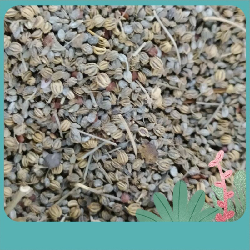 100 gm Carom seed / korsani seed / Caraway Seed / Ajwain Seed / Biji