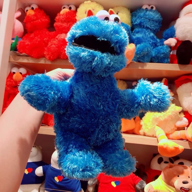 cookie monster teddy bear