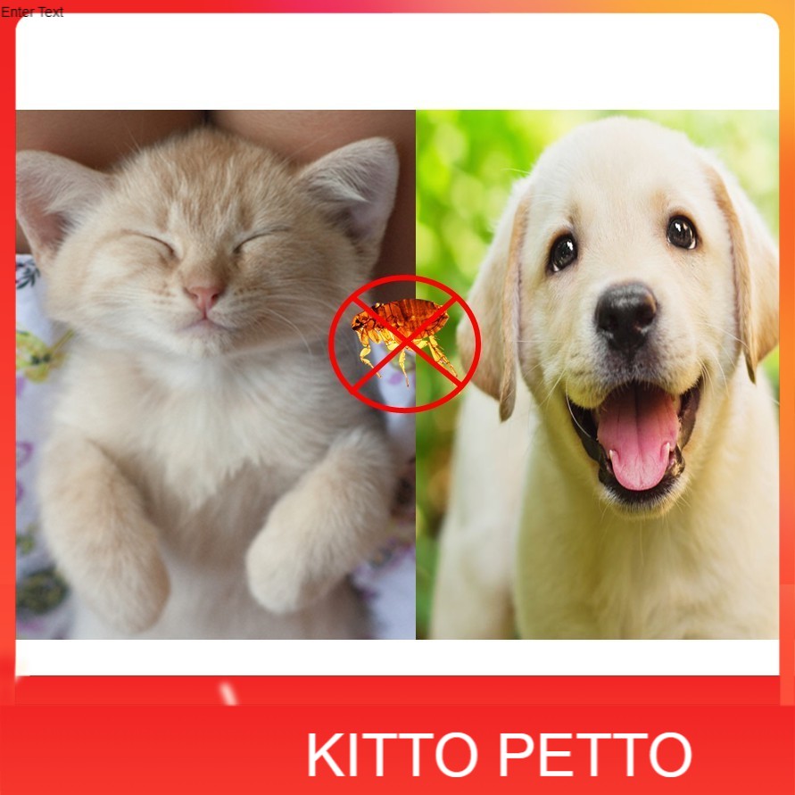 Ubat Kutu Anak Kucing Prices And Promotions Jun 2022 Shopee Malaysia