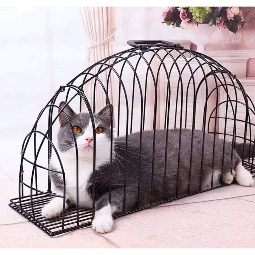 cat bathing cage