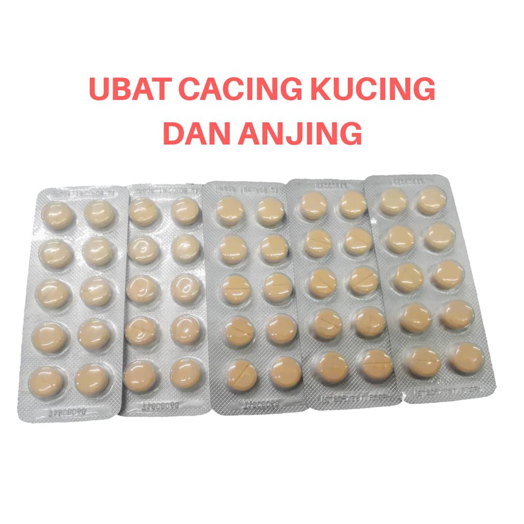 UBAT CACING TABLET KUCING / ANJING (1 TABLET)  Shopee 