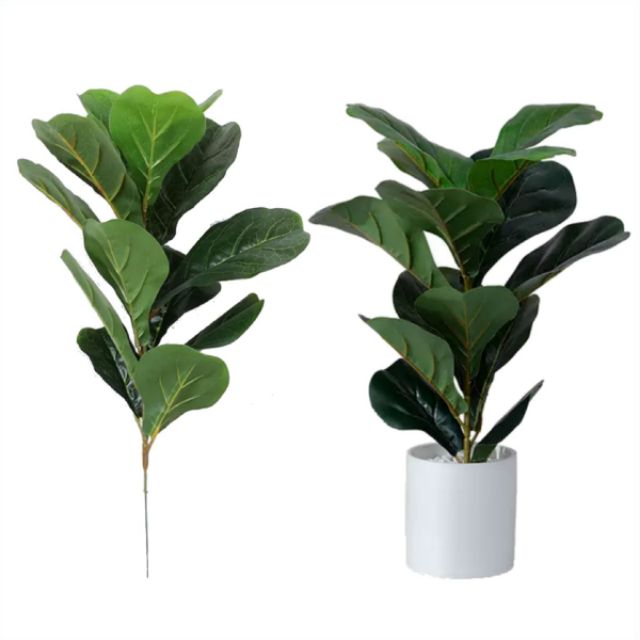  Pokok  Hiasan  Tiruan Plastik  Fiddle Fig Plant Only 1 2 