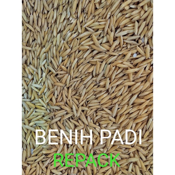 Buy {3KG/5KG}BENIH PADI MAKANAN HAIWAN AYAM/BURUNG 💯 Kualiti 