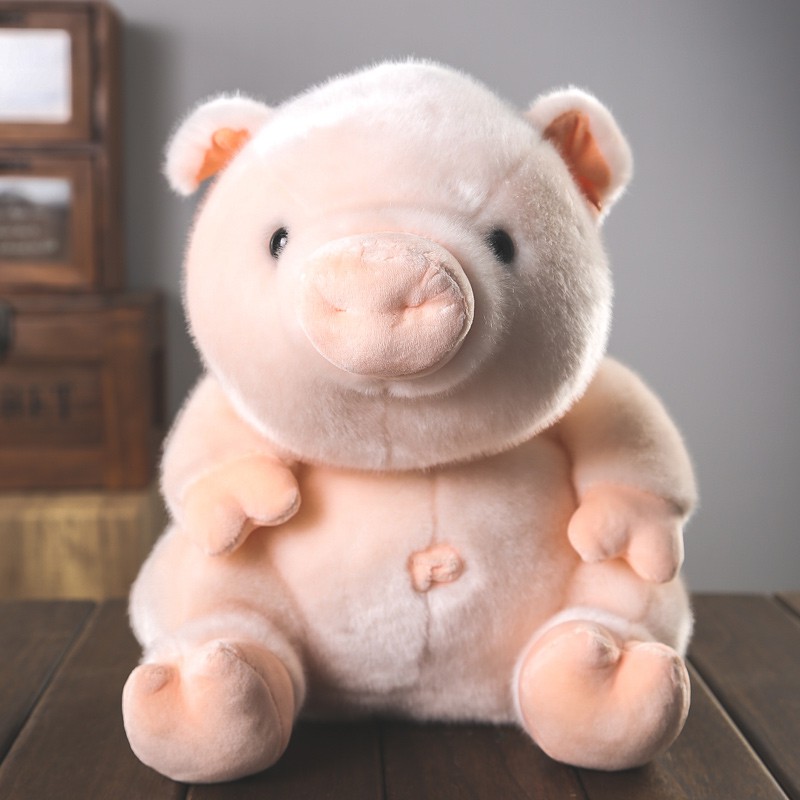 cute pig teddy