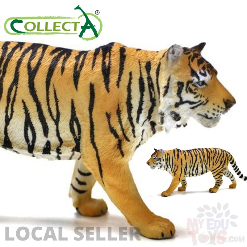 Siberian Tiger - Collecta 88789 Wild Life Animal Action Figures / Toys Figurine Collection For Boys, Girls & Collectors
