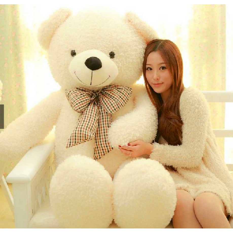 big and cute teddy bear