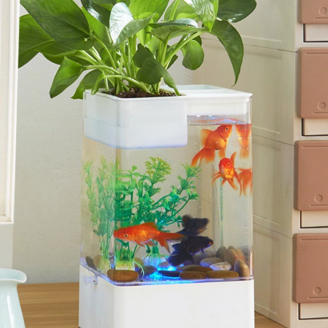 Small Fish Tank Automatic Water Change Desktop Fish Tank Acrylic