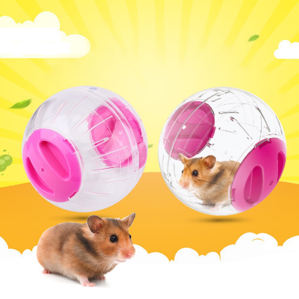 hamster ball shopee