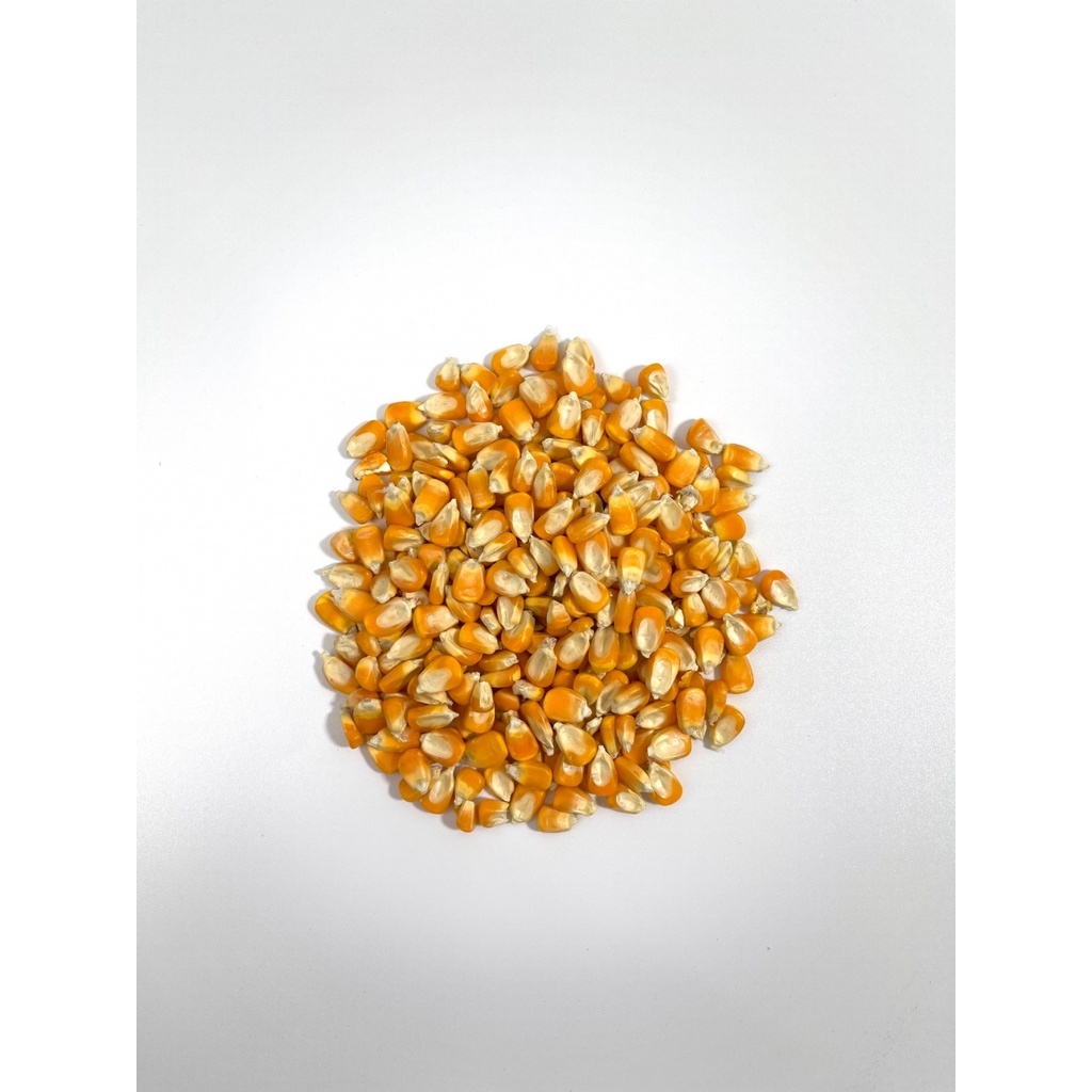 Buy Sp Berkat Jagung Biji Jagung Kasar Jagung Halus Untuk Haiwan 20kg Seetracker Malaysia