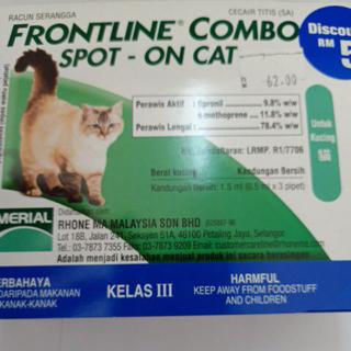 frontline combo kitten