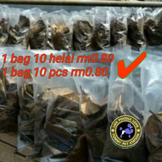 Ketapang, daun ketapang 10 helai , ketapan, leaf, ikan 