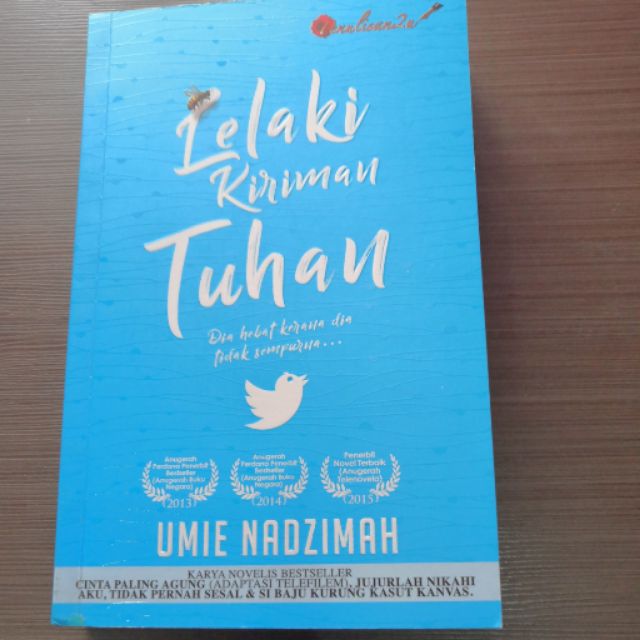 lelaki kiriman tuhan novel