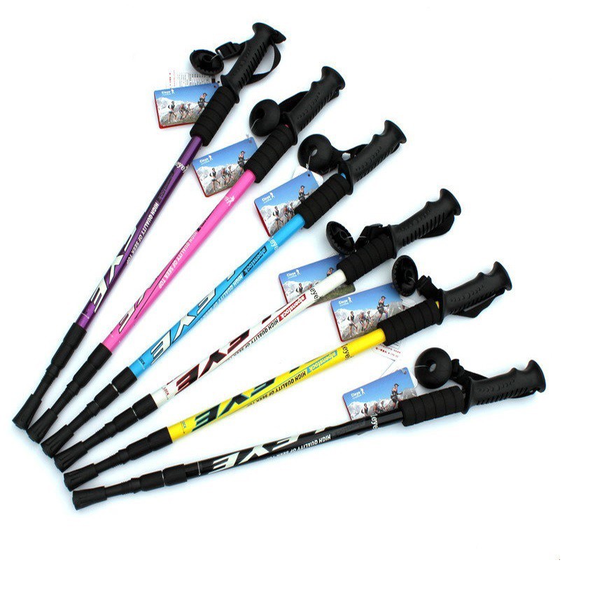 shock absorbing hiking pole