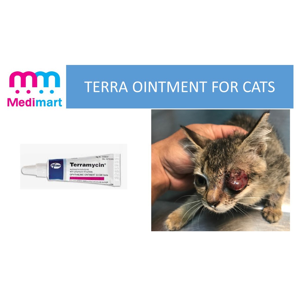 Terramycin cat