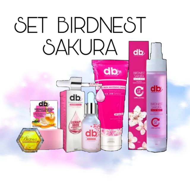 set skincare birdnest