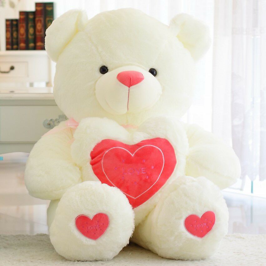 cute soft teddy bear