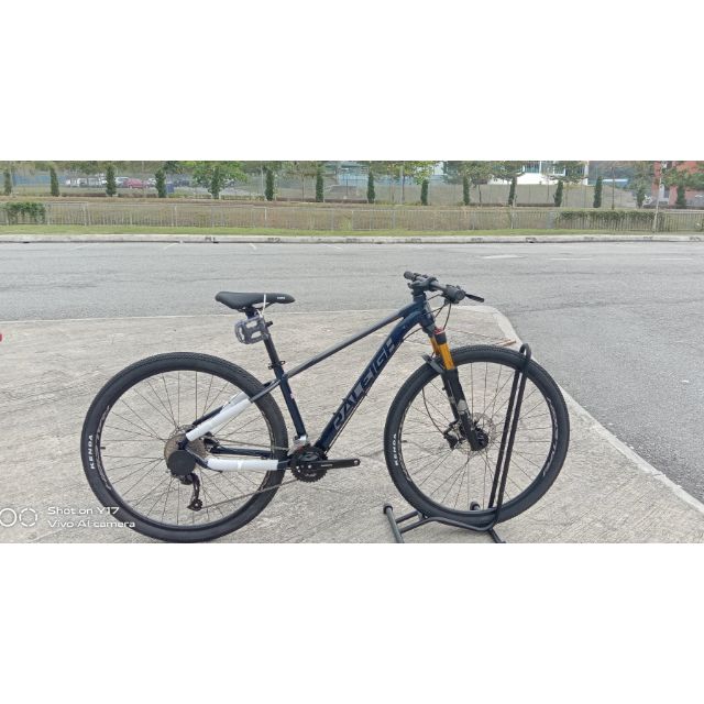 raleigh 29er mountain bike