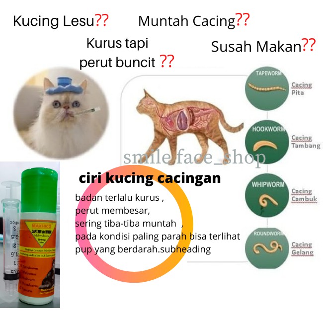 Ubat Cacing Untuk Kucing  Patsycda