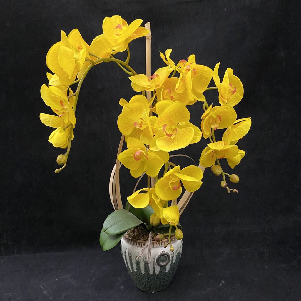 Bunga orkid