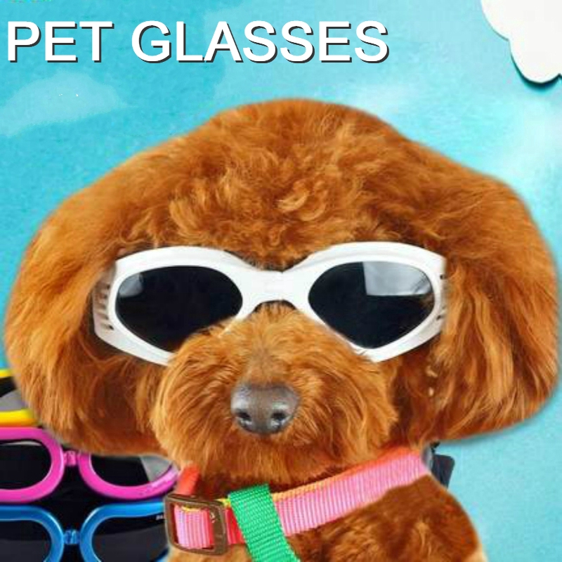 Hot Sale Dog Pet Glasses For Pet Products Eye Wear Dog Pet Sunglasses Photos Props Accessories Pet Supplies Cat Glasses Shopee Malaysia