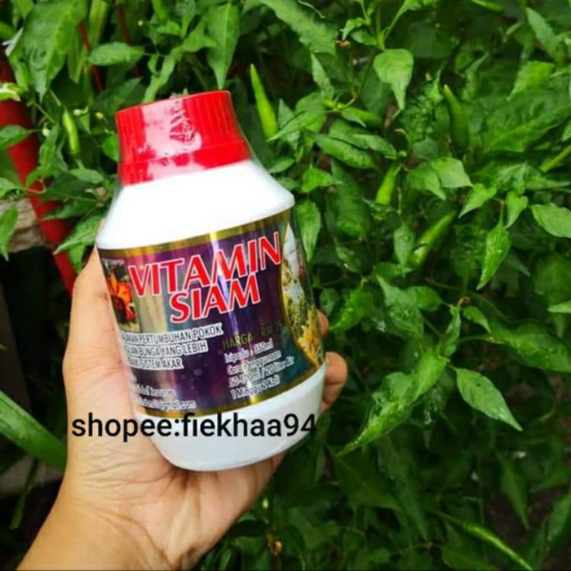 Vitamin Siam Baja Paling Power Dari Thailand Shopee Malaysia