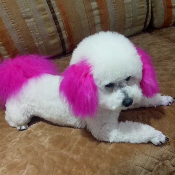 Pet Dog Hair Dyepeach Red Pink Hair Dye Cream Shopee Malaysia